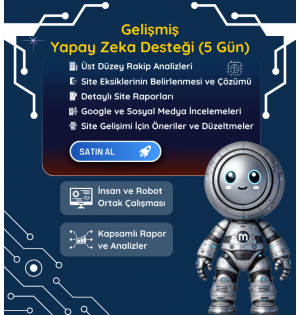 Gelişmiş Yapay Zeka Desteği (5 Gün)